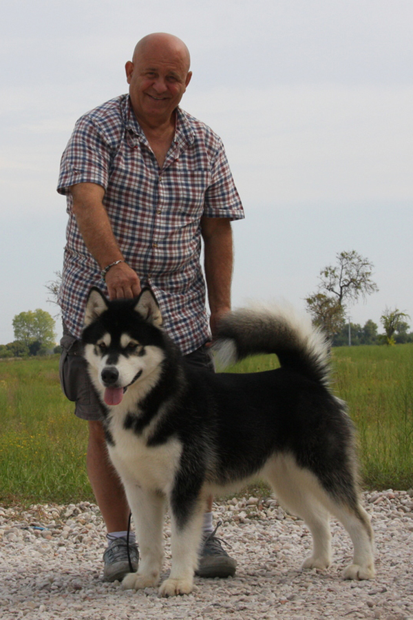 Black Baker Del Biagio