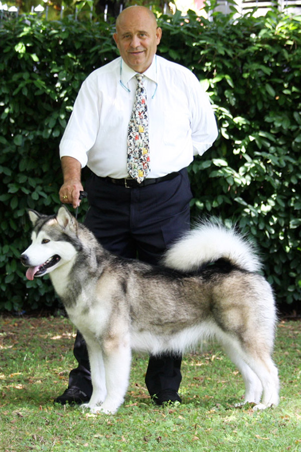 Guara Jungla Negra del Biagio