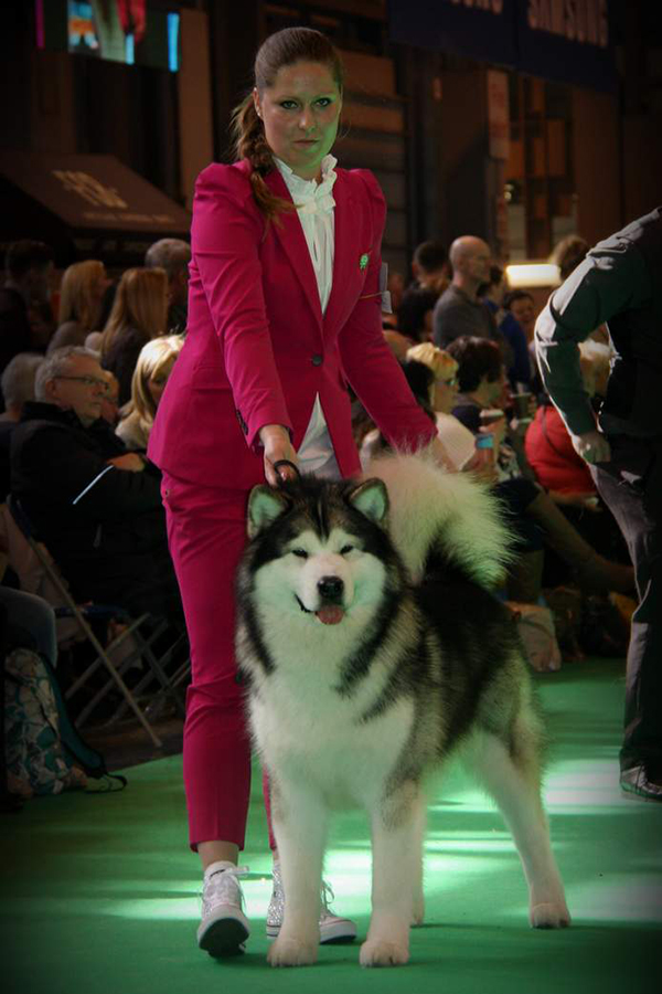 Starlight Express Del Biagio