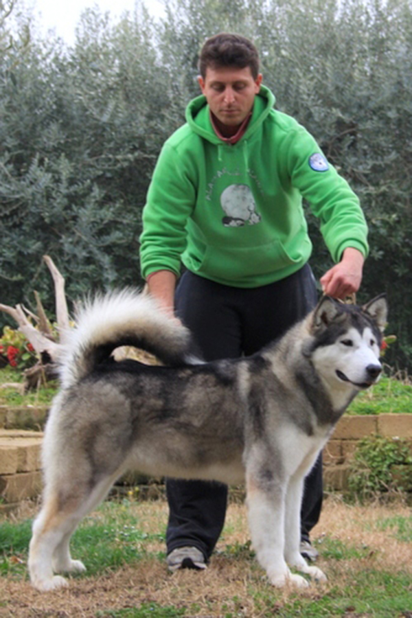 Sweet Dream Del Biagio